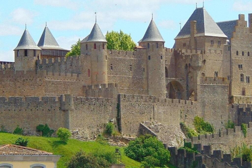 Spacieux Appartement Au Pied De La Cite Medievale Carcassonne Bagian luar foto