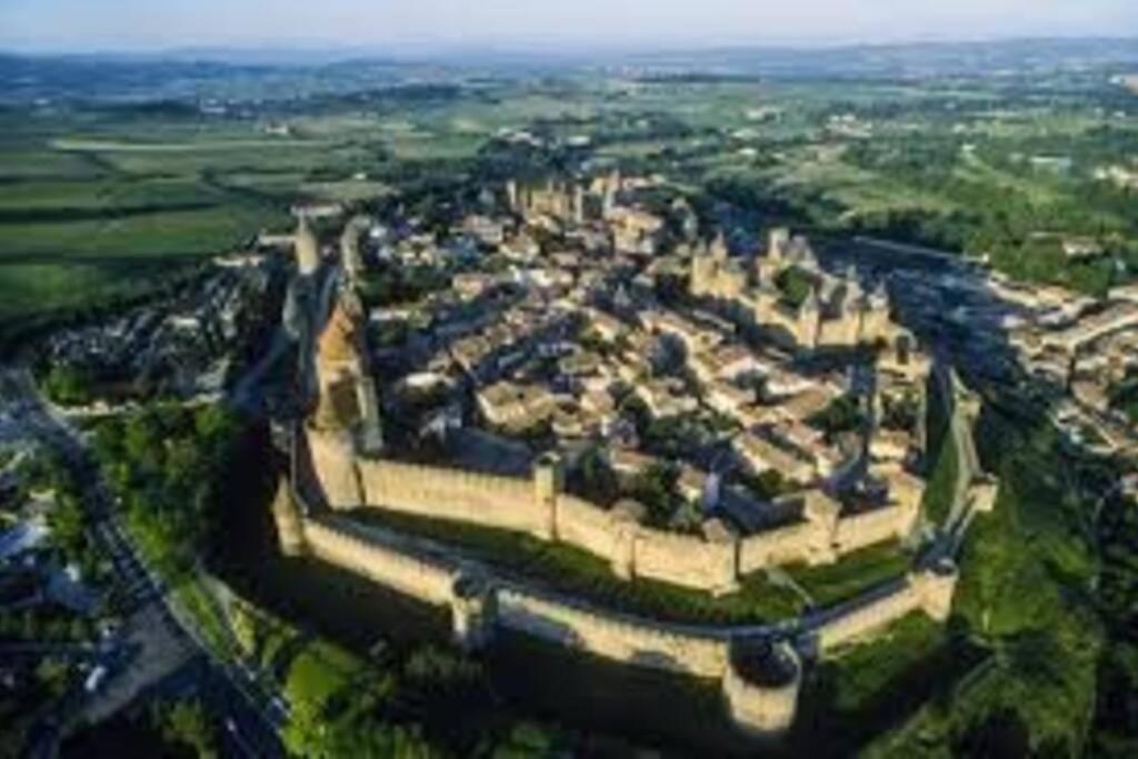 Spacieux Appartement Au Pied De La Cite Medievale Carcassonne Bagian luar foto