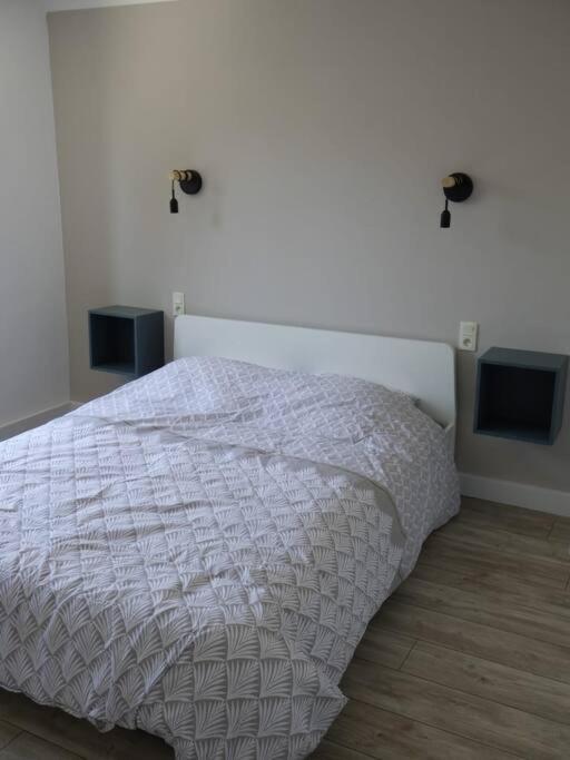 Spacieux Appartement Au Pied De La Cite Medievale Carcassonne Bagian luar foto