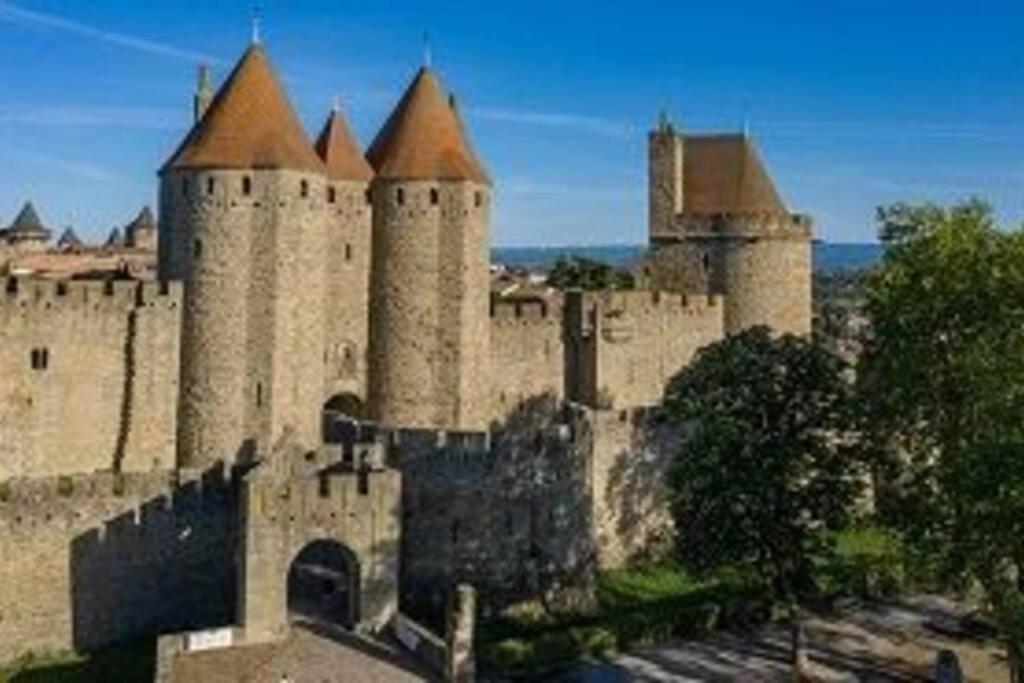 Spacieux Appartement Au Pied De La Cite Medievale Carcassonne Bagian luar foto
