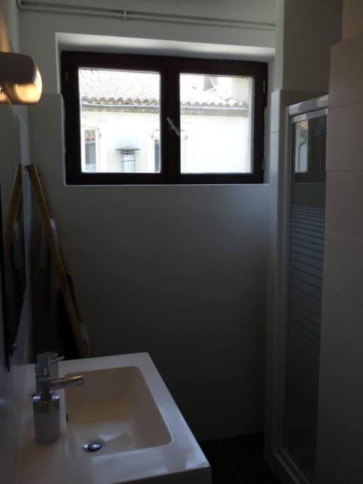 Spacieux Appartement Au Pied De La Cite Medievale Carcassonne Bagian luar foto